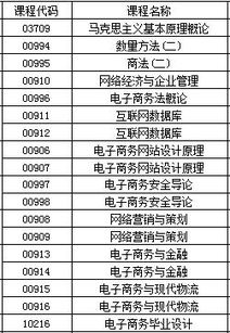 电子商务怎样选专业女生