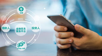 重庆电子商务师专业系统